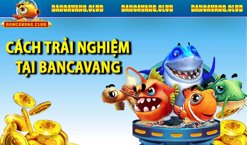 Cách trải nghiệm chơi game tại Bancavang.club