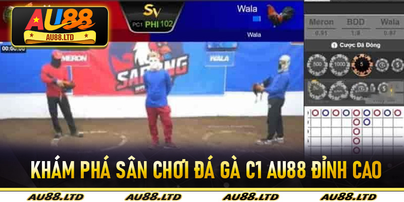 Khám phá sân chơi đá gà C1 Au88 đỉnh cao