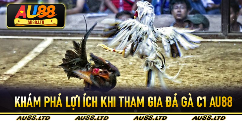 Khám phá lợi ích khi tham gia Đá Gà C1 Au88